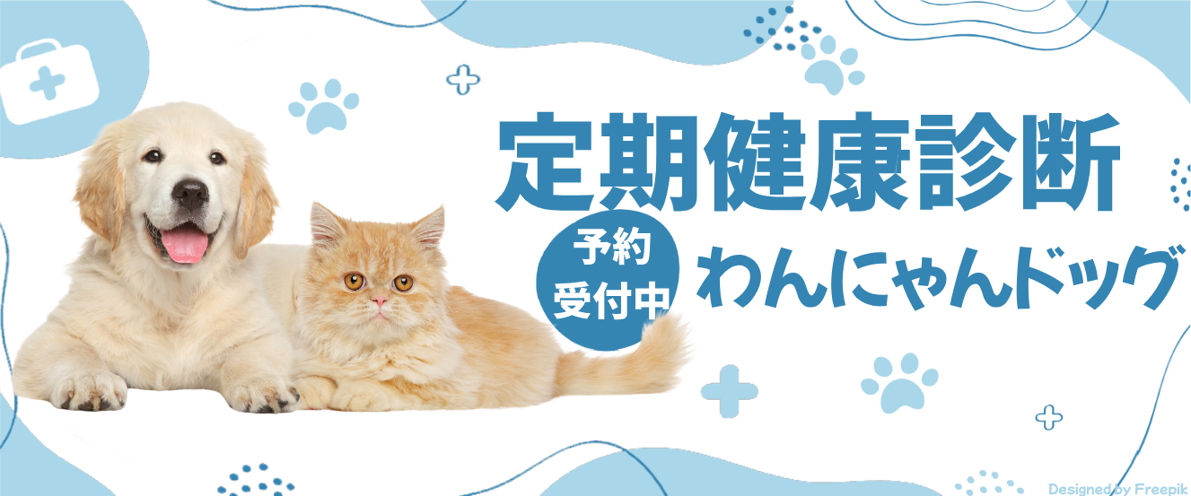 定期健康診断 予約受付中 わんにゃんドッグ